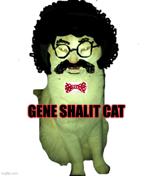 Gene Shalit